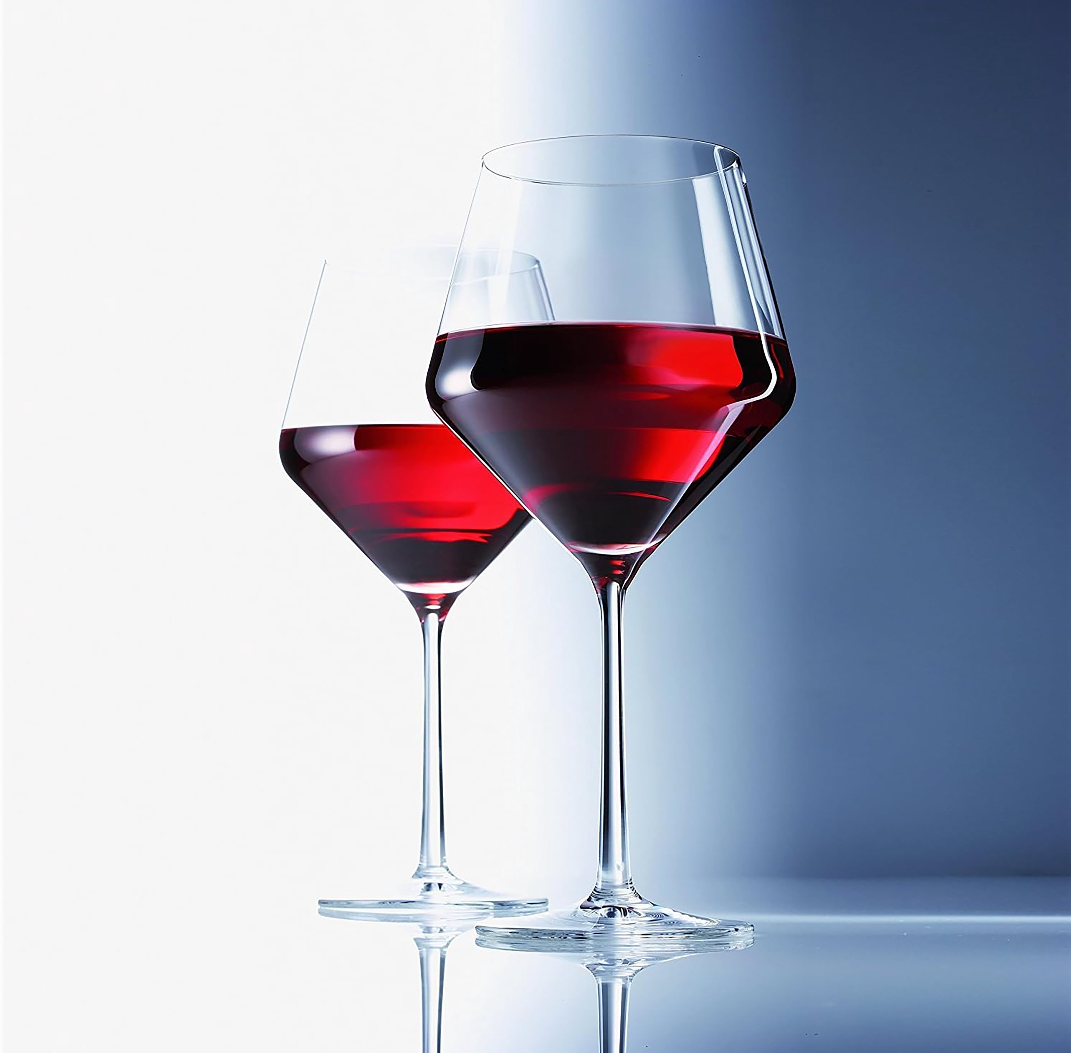 Schott Zwiesel Tritan Pure Burgundy Wine Glass (Set of 4)