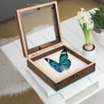 thumbnail image 4 of WORGEOUS 1 juego de vitrina de insectos Caja de muestras de insectos duradera Vitrina de insectos de madera para el hogar, 4 of 8