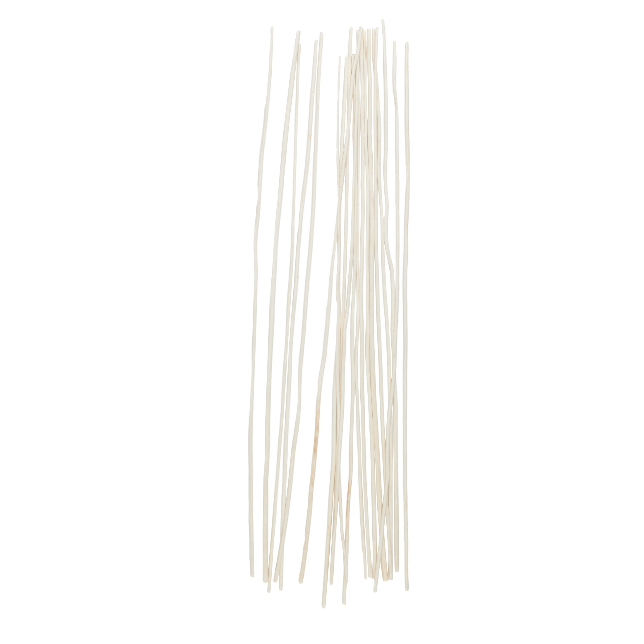 60" Tall Sticks Jute Rope Natural Foliage Bouquet, by DecMode