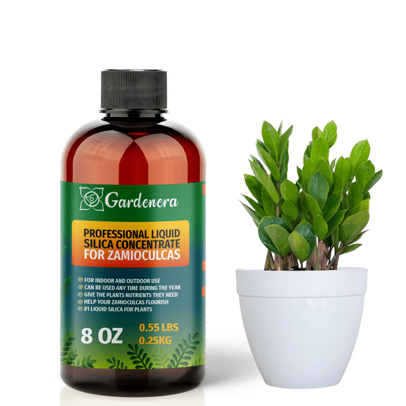 β PREMIUM Bioavailable Silica Fertilizer for Zamioculcas β 8oz β Ideal for Hydroponics & Soil β Healthier Plants with Strong Stalks - CONCENTRATE