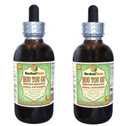 Hou Tou Gu (Hericium Erinaceus) Glycerite, Dried Mushroom Alcohol-FREE Liquid Extract (Herbal Terra, USA) 2x4 oz