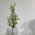 thumbnail image 2 of White Baby'S Breath, 2 of 3
