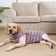 thumbnail image 4 of Ropa Fisiológica para Mascotas Sunnimix Pantalones Sanitarios Rojo, 4 of 8