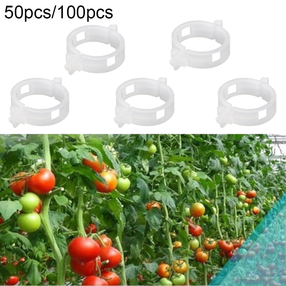 50/100 pcs Garden Plant Support Clips Vegetables Tomato Vine Flower Locks Grow 