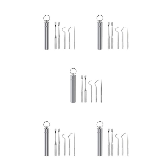 Toystoory Palillo de de acero inoxidable 304 para viajes al aire libre, palillo de limpieza de dientes, barbacoa desmontable, tenedor de Type2 NO2