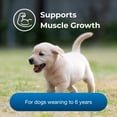 thumbnail image 6 of Pet-Ag Esbilac Healthy Development - 14 oz, 6 of 9