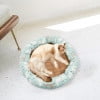 Cojín refrigerante de verano para mascotas, ideal para el suelo. También sirve como cojín de hielo para casetas de perros y gatos. Incluye un colchón pequeño.