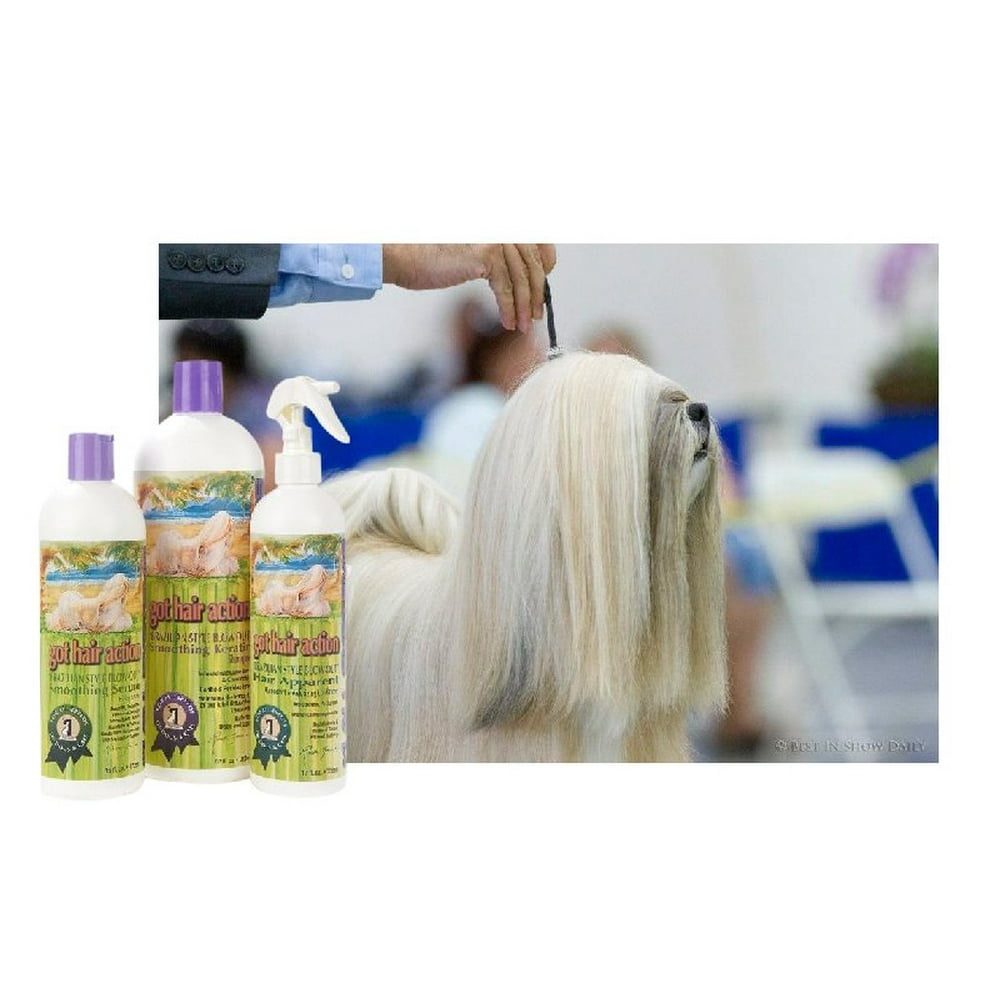 1 All Systems Got Hair Action . Brazilian Blowout For Your Dog . Three