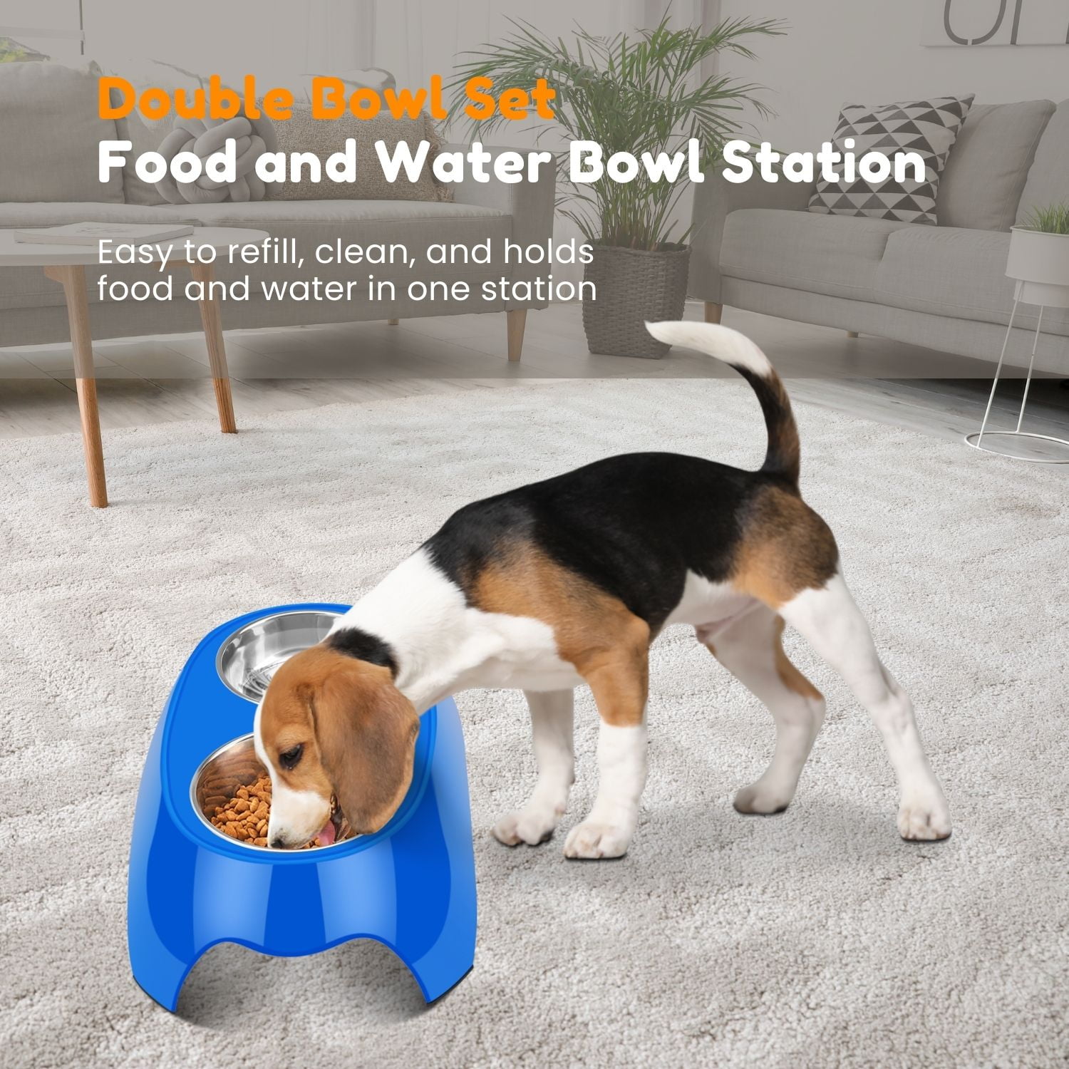 Double Dog Bowl With Silicone Mat – Pet Corral HQ