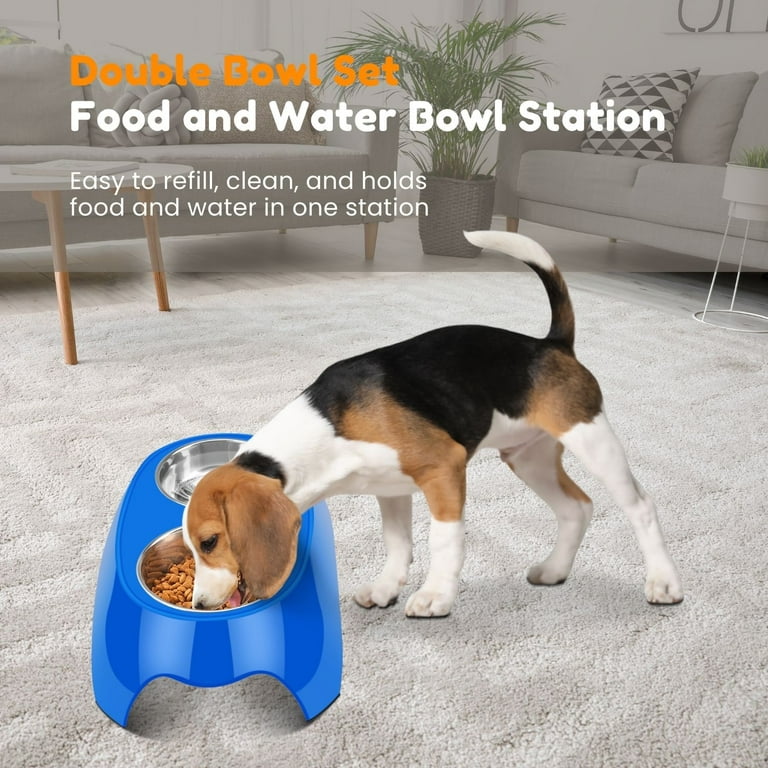 Flexzion Pet Feeder Stainless Steel Dog Bowl Set of 2 - Feeding Station Tray with Removable Food Water Holder, Rubber Slip Resistant Base Stand, Dis
