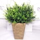 thumbnail image 3 of 10 racimos de plantas de eucalipto artificial Plantas verdes falsas de plástico Arbustos realistas para la decoración de la boda del patio del jardín del hogar (verde), 3 of 5
