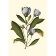 thumbnail image 2 of Vision Studio 15x18 Gold Ornate Wood Framed with Double Matting Museum Art Print Titled - Lavender Floral IV, 2 of 4