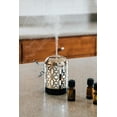 thumbnail image 4 of ScentSationals Huile Essentielle de Lavande 15mL, 4 of 7