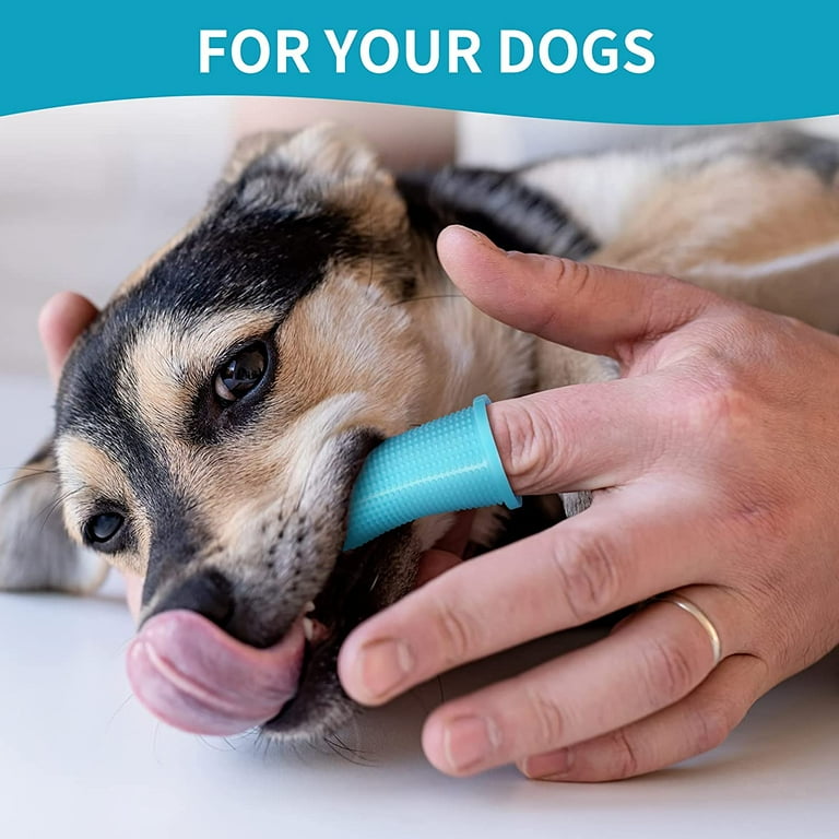 Dog 2025 toothbrush walmart