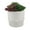 Cream/Beige, variant on Succulent Mix in Two Tone 9" Cream/Beige Ceramic Planter