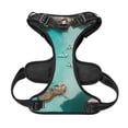 thumbnail image 5 of Lsque Turquoise Beach Kayaking Dog Harness, No-Pull Pet Harness with 2 Leash Clips, Adjustable Soft Padded Dog Vest with Easy Control Handle for Large Dogs-Large, 5 of 9