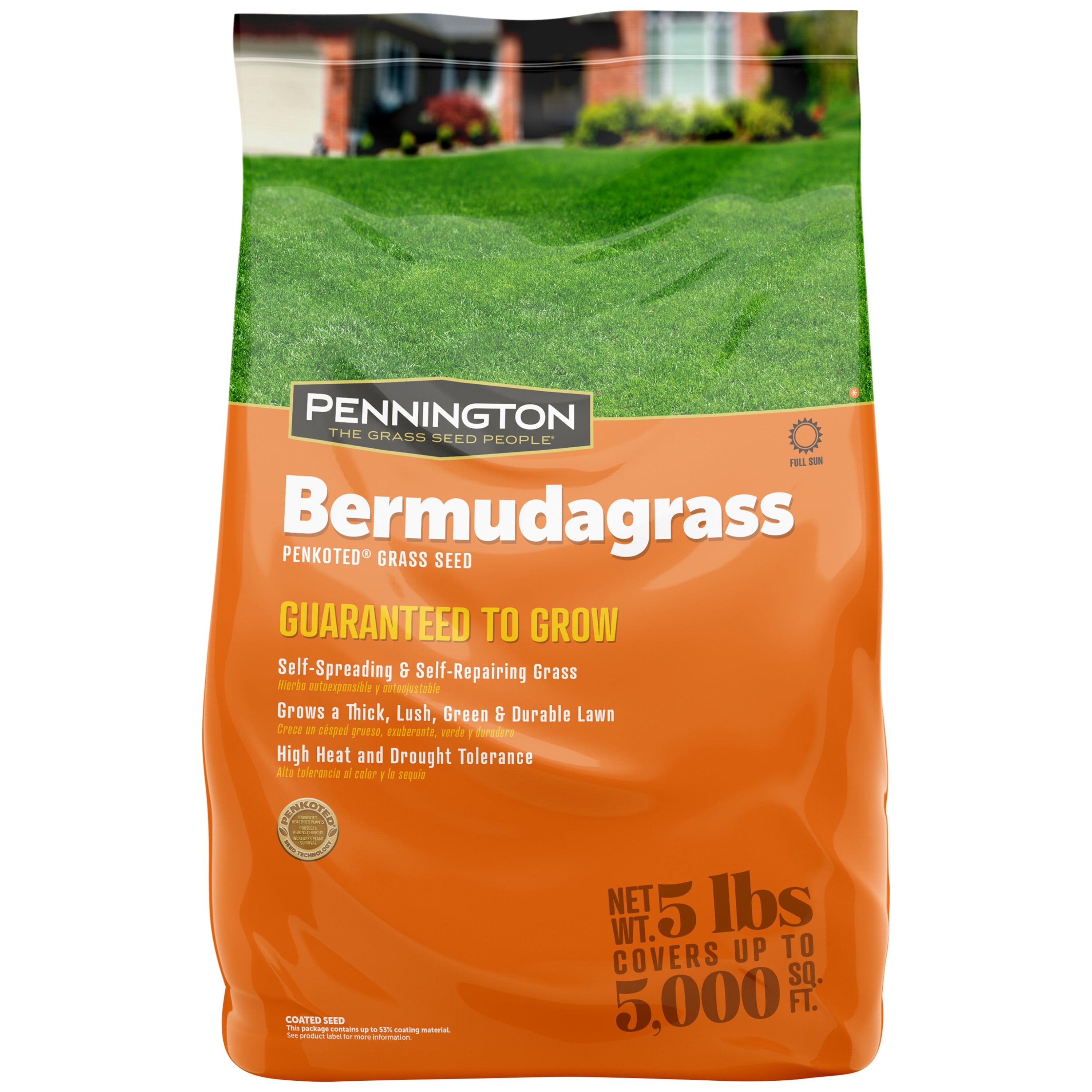 Pennington Sahara Bermudagrass Grass Seed for Southern Lawns; 5 lb