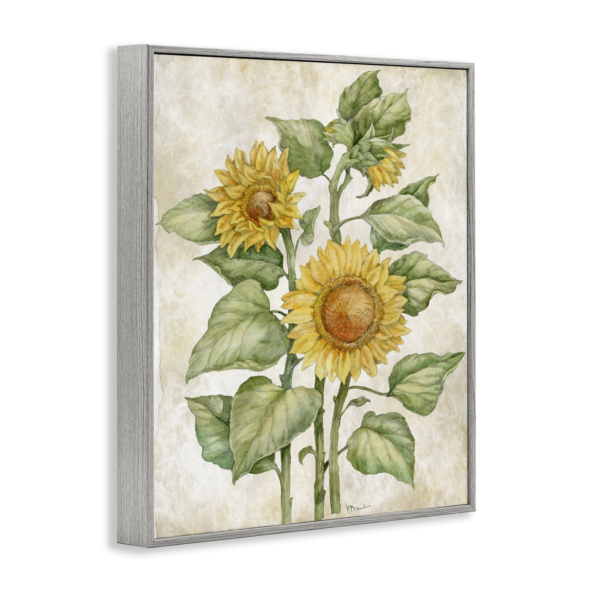 Stupell Industries Floral Journal Sunflower Gray Framed Giclee Art, design by Paul Brent