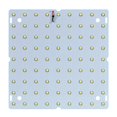 thumbnail image 1 of Luz de crecimiento LED CUTICAT 50W para plantas de jardín Invernadero Luz Cálida 81 Leds jardineras Grow Light, 1 of 7
