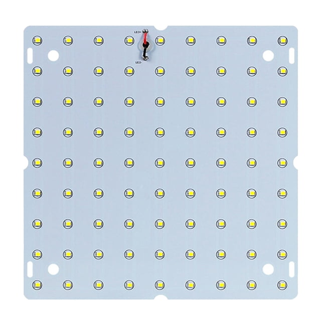 Luz de crecimiento LED CUTICAT 50W para plantas de jardín Invernadero Luz Cálida 81 Leds jardineras Grow Light