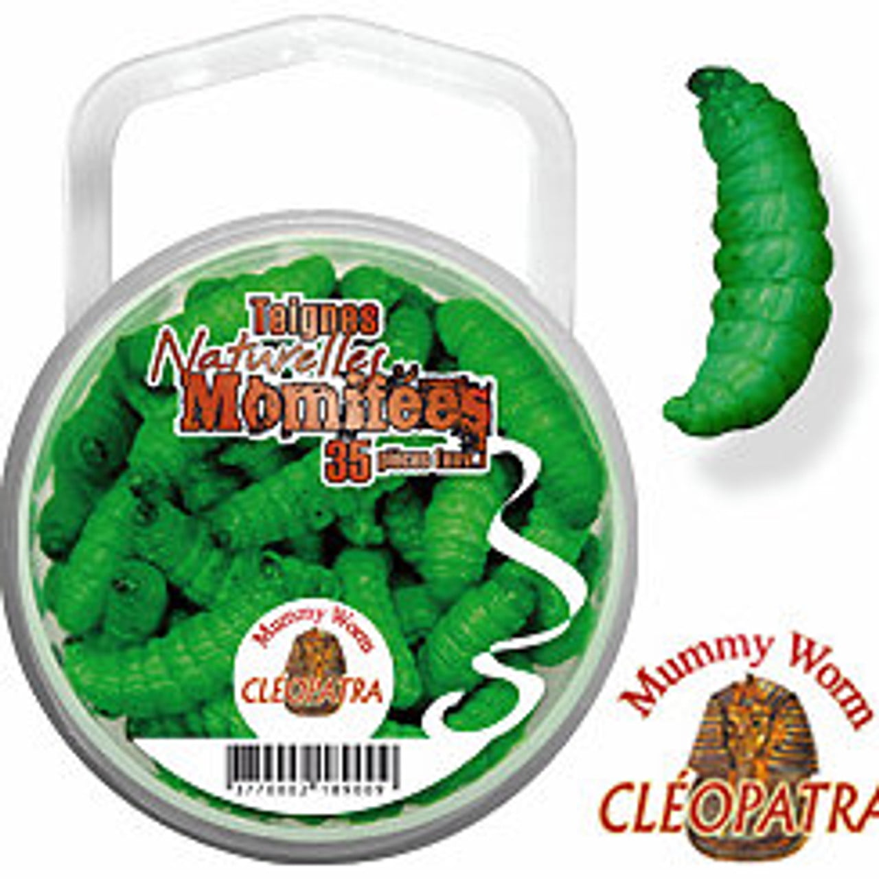 Eurotackle Mummy Worm Preserved Wax Worms, Green Caterpillar , Model 00110,  35+/pack