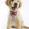 thumbnail image 4 of Harnais Gilet pour Chiot en Maille Douce Chat Animal Harnais de Course Gilet pour Chien Harnais pour Chien Gilet Ajustable Confortable (Rouge,m), 4 of 7