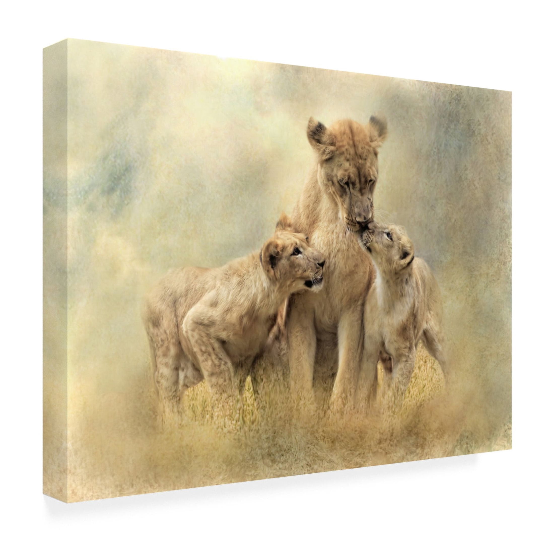 Canvas Wall Art - Trudi Simmonds 'Mamma' Wall Art for Living Room, Bedroom, or Office Décor by Trademark Fine Art - 32 x 24 Inches