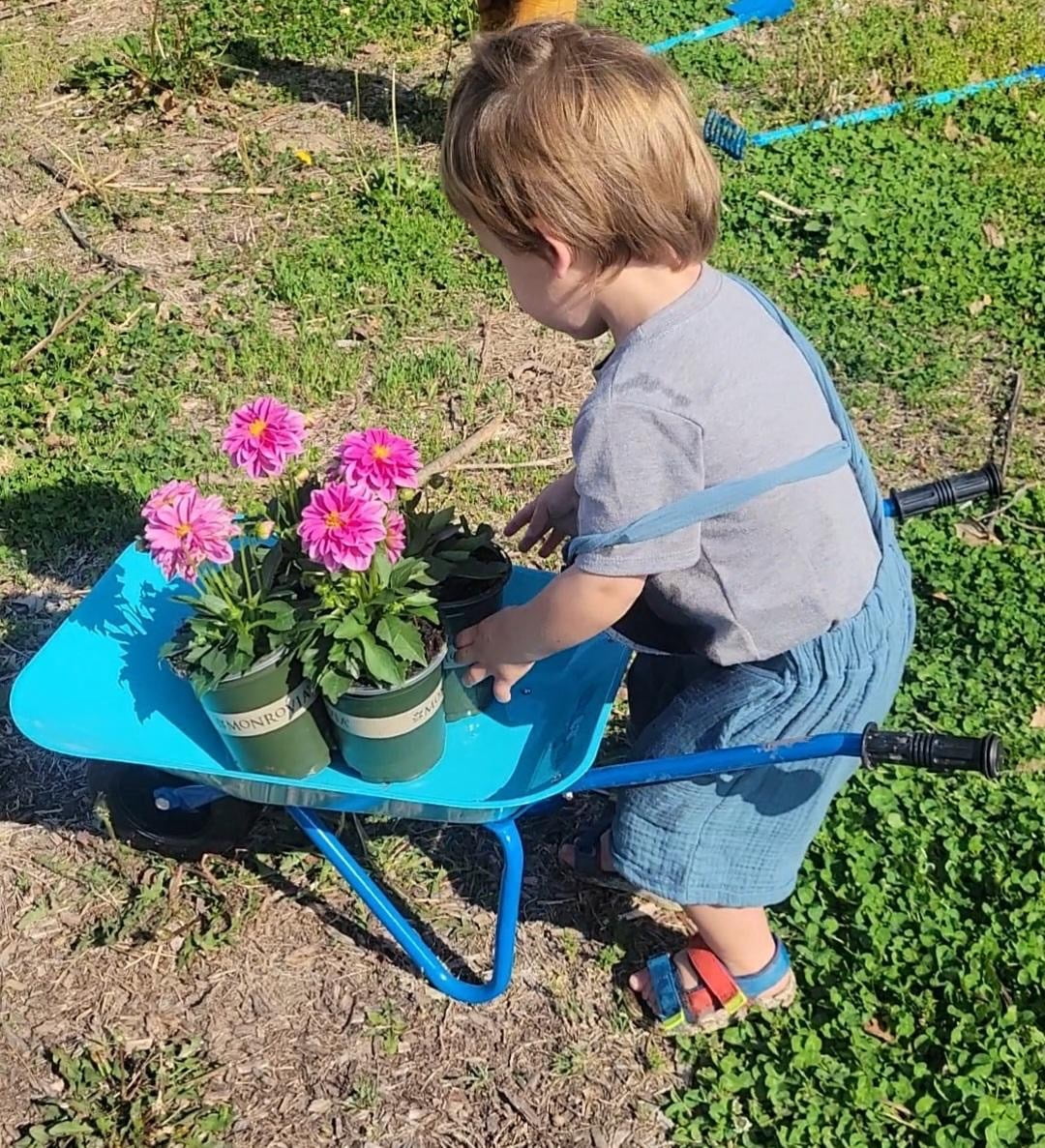Colwelt Kids Wheelbarrow Set Metal 5 PCS,  Blue Small Child wheelbarrow, Gardening Tools for Kids， Outdoor Indoor Garden Backyard Toy Gift for Children 3+Years Old