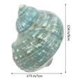 thumbnail image 2 of KAKOWELY Manualidades de playa con conchas, decoración náutica, conchas, pecera, acuario, paisaje, decoración, manualidades con conchas, 2 of 4