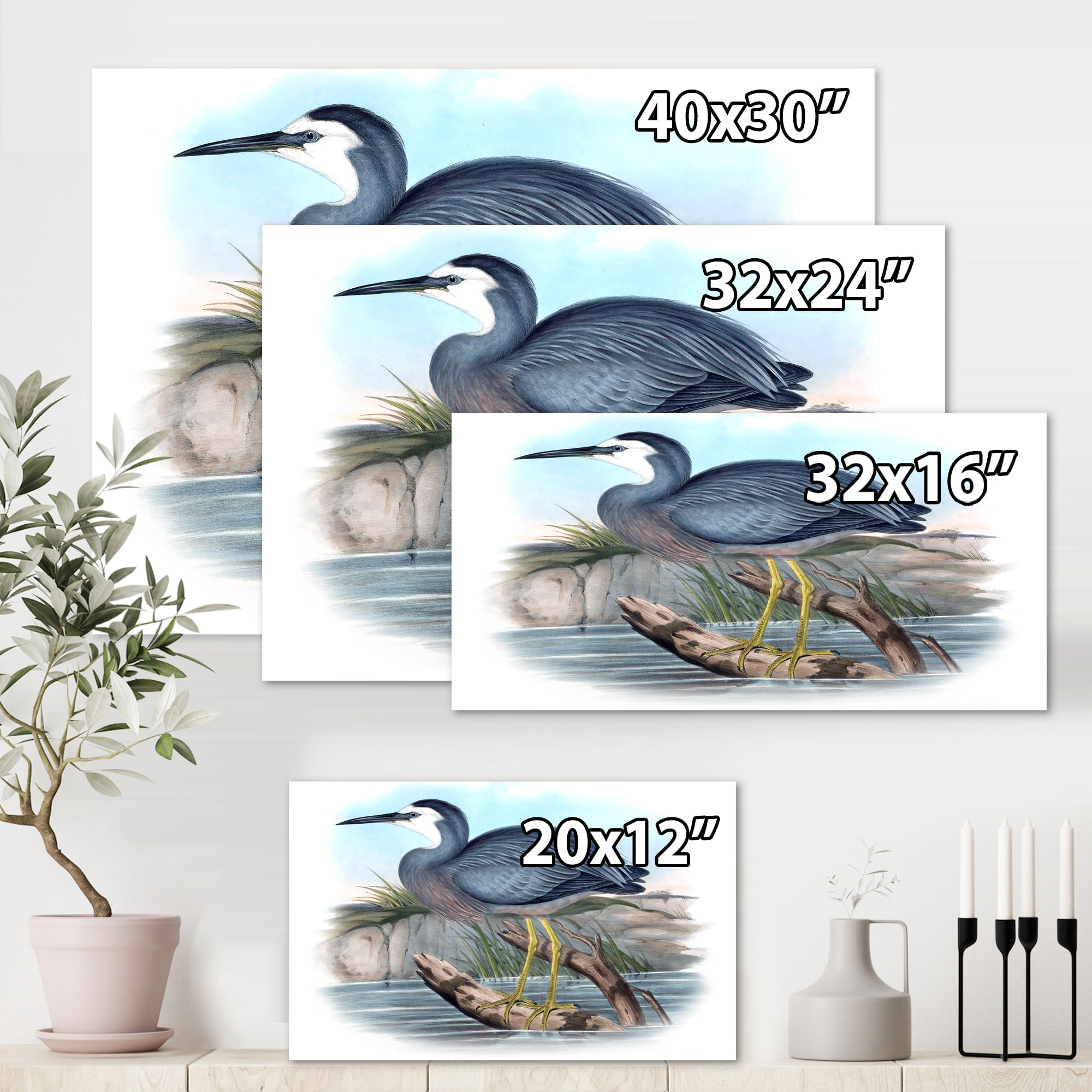 Designart ' Ancient Australian Birds II ' Traditional Canvas Wall Art Print