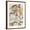 Brown Frame, variant on Art.com Ovals & Lines I Stretched Canvas Print Wall Art by Nikki Galapon, 12" x 16"
