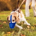 thumbnail image 6 of Minzimin Dog Muzzle, Soft Mesh Covered Muzzles for Small, Medium, Large and X-Large Dogs, Muzzle with Adjustable Straps, Prevent Barking, Biting, and Accidental Ingestion, 6 of 6