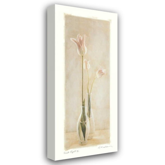 Amy Melious 12x24 Gallery Wrapped Canvas Wall Art Titled - Quiet Light II