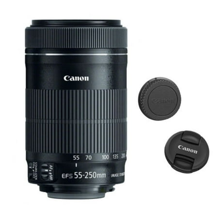 Canon EF-S 55-250mm F4-5.6 IS STM Lens for Canon SLR (Best Camera Lens For Alaska Cruise)