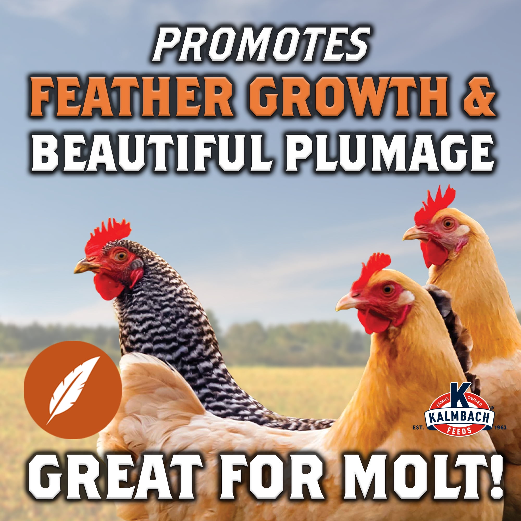 (4 pack) Kalmbach Feeds 20% Full Plume Feathering Feed Mini-Pellets for Poultry, 50 lb bag
