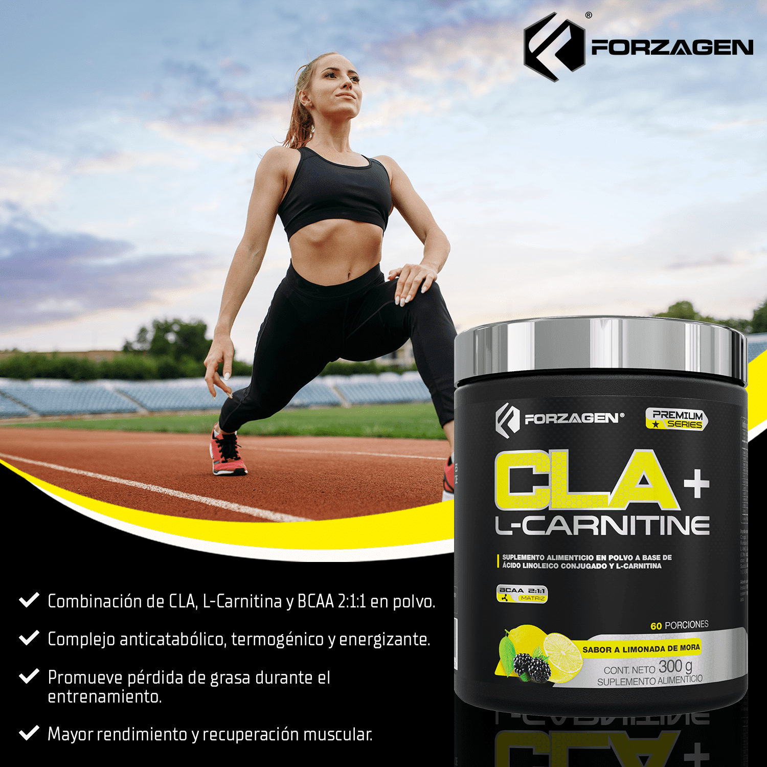 vitacost acetyl l carnitine Amazon.com: Vitacost Alpha Lipoic Acid & Acetyl L-Carnitine HCl - 1,600 mg  per serving