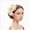 Beige-1, variant on HCNTES Fascinator Hat Flower Feather Mesh Veil Wedding Tea Party Cocktail Hat Headwear for Women Lady Girls White-1
