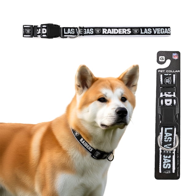 Collar NFL para perro raza grande Las Vegas Raiders 100% oficial