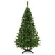 thumbnail image 1 of Árbol de Navidad Naviplastic Boston color Verde de 220 cm, 1 of 4