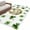 White, variant on Entryway Rug 2'x3', Saint Patrick's Day Small Rug for Kitchen Bathroom Door Mat Indoor Entrance, Horseshoe Green Botanical Clovers Leaf Non-Slip Area Rugs Floor Mats Carpet Front Door Rugs