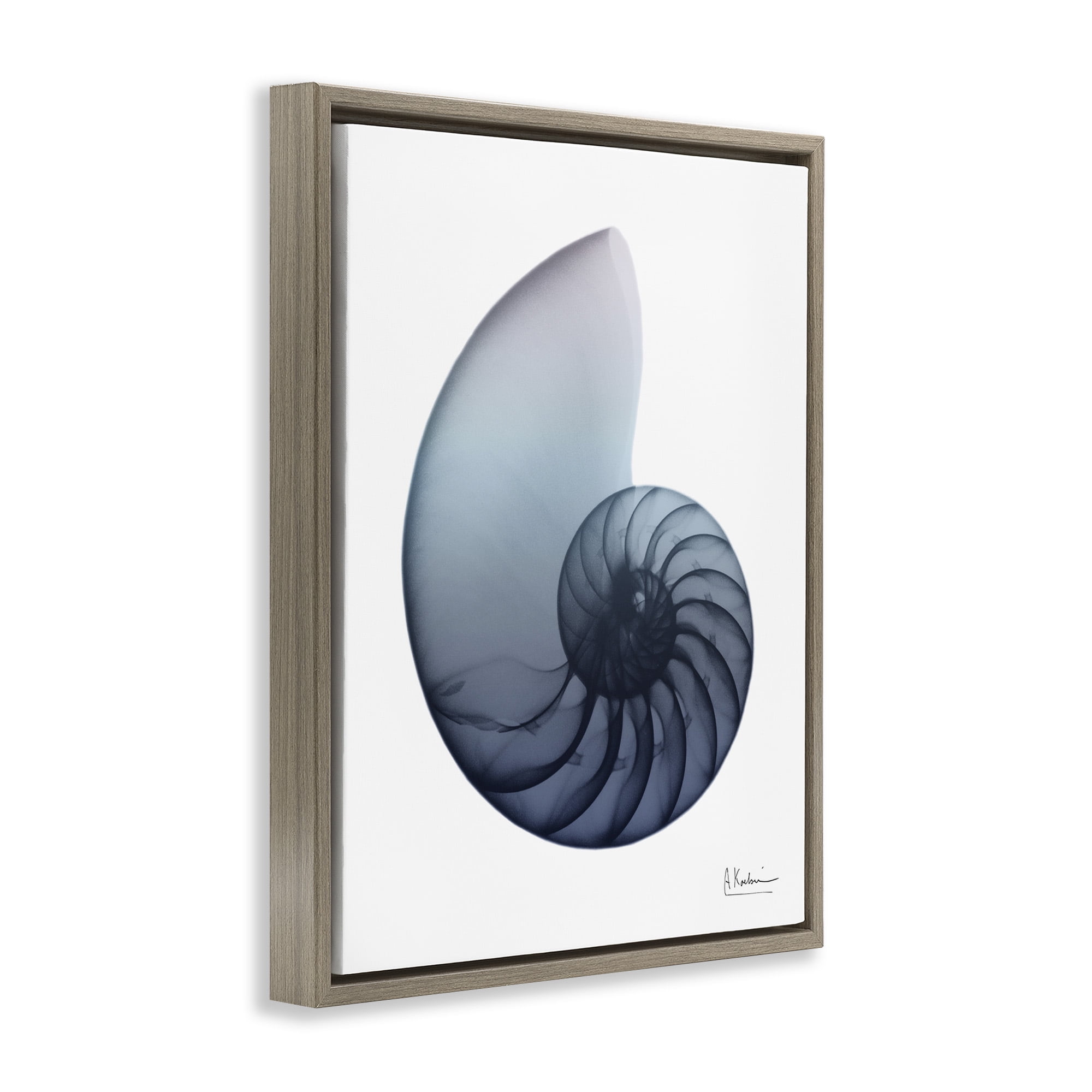 Stupell Industries Contemporary Nautilus Shell Abstract Photography Brown Floater Framed Canvas Art Print Wall Art, 25 x 31