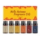 thumbnail image 2 of Aceite esencial para difusor, aceites aromáticos, esencias otoñales, para difusores domésticos, set de 6 x 10 ml, agua perfumada, 2 of 9