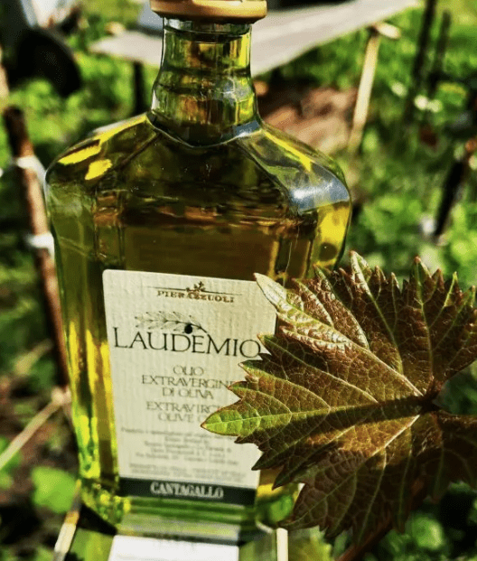 Laudemio Tenuta Cantagallo Extra Virgin Olive Oil in a Gift Box- 16.9oz