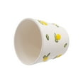thumbnail image 3 of Mainstays 6.25" x 6.25" x 6" Round Cream and Yellow Ceramic Lemon Planter, 3 of 8