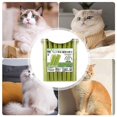 thumbnail image 2 of Cat Grass Teething Stick Cat Grass Teething Stick Cuddles and Meow Teeth Clean, 2 of 5