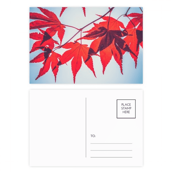red maple nature picture postcard set birthday mailing thanks greeting card