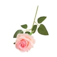thumbnail image 4 of Injueey 12 unids/set exquisita artesanía y elegancia rosas y flores de seda para un toque romántico rosa claro Type2 NO2, 4 of 6