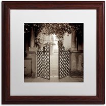 Trademark Fine Art "Venezia V" Canvas Art by Alan Blaustein, White Matte, Wood Frame
