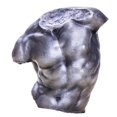thumbnail image 3 of Estatua de torso masculino, figura escultórica, adorno de mesa para sala de estar. Pulido, 3 of 8