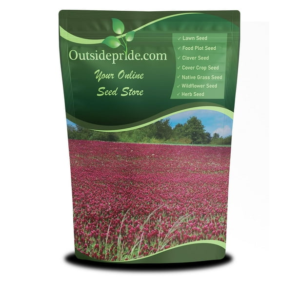 Outsidepride Crimson Clover Seeds - 5 lbs. Annual, Nitrocoated, & Inoculated Ground Cover Seeds, Ideal Clover Seed for Lawn, Cover Crop, Pasture, Hay, Green Manure & Wildlife Forage